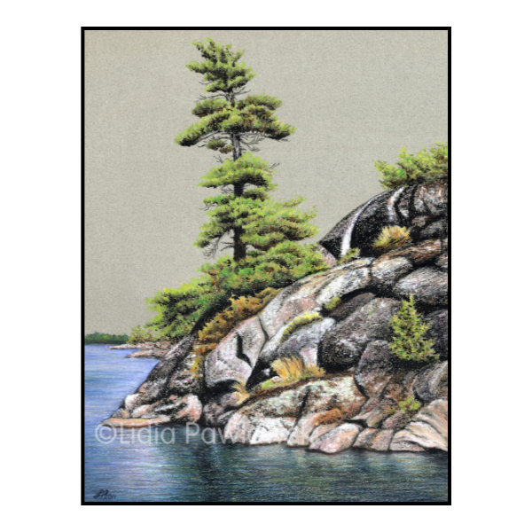 Wind Pine, Georgian Bay series, Pastels